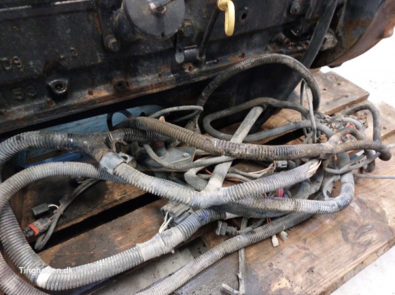 Motor & Motorteile typu Case 6TA-590, Gebrauchtmaschine v Hemmet (Obrázek 3)