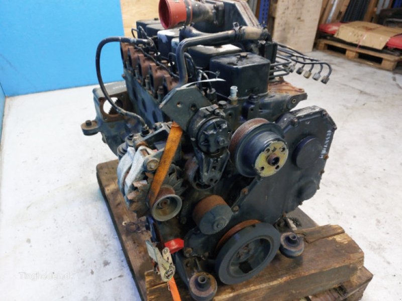 Motor & Motorteile typu Case 6TA-590, Gebrauchtmaschine v Hemmet (Obrázek 7)