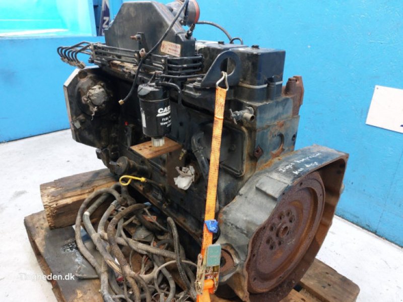 Motor & Motorteile typu Case 6TA-590, Gebrauchtmaschine v Hemmet (Obrázek 14)