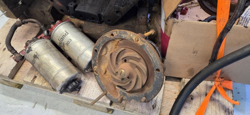 Motor & Motorteile типа Case D268, Gebrauchtmaschine в Hemmet (Фотография 12)