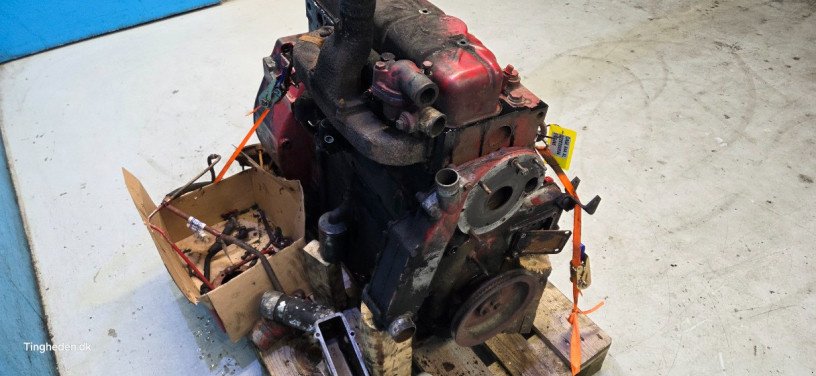 Motor & Motorteile типа Case D268, Gebrauchtmaschine в Hemmet (Фотография 7)