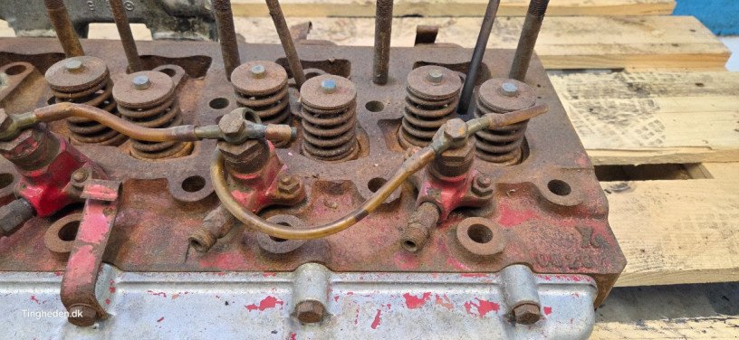 Motor & Motorteile des Typs Case D268, Gebrauchtmaschine in Hemmet (Bild 4)