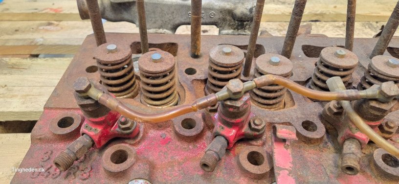 Motor & Motorteile des Typs Case D268, Gebrauchtmaschine in Hemmet (Bild 3)