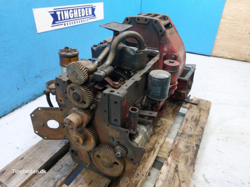 Motor & Motorteile des Typs Case D268, Gebrauchtmaschine in Hemmet (Bild 3)