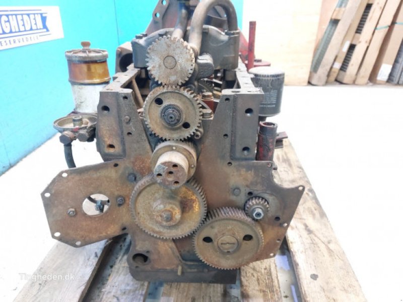 Motor & Motorteile des Typs Case D268, Gebrauchtmaschine in Hemmet (Bild 4)
