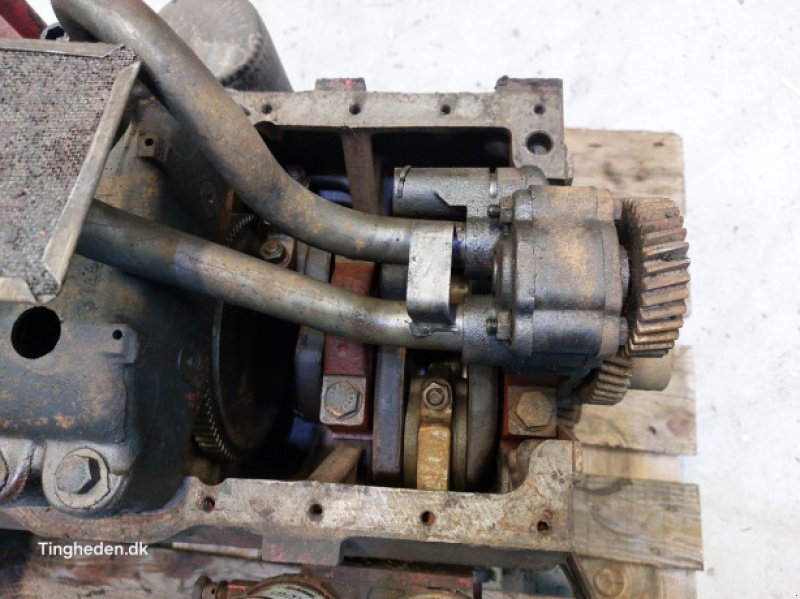 Motor & Motorteile des Typs Case D268, Gebrauchtmaschine in Hemmet (Bild 11)