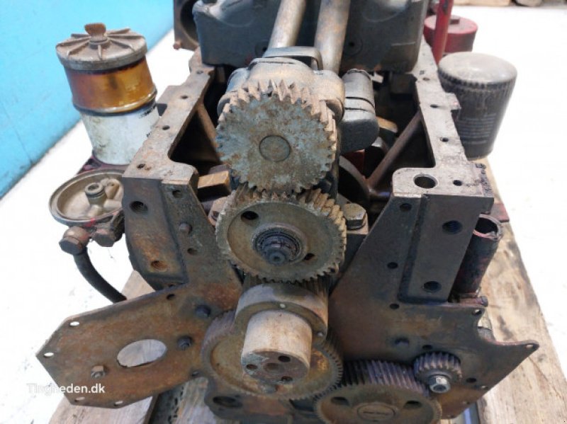 Motor & Motorteile des Typs Case D268, Gebrauchtmaschine in Hemmet (Bild 5)