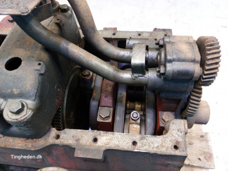 Motor & Motorteile des Typs Case D268, Gebrauchtmaschine in Hemmet (Bild 10)