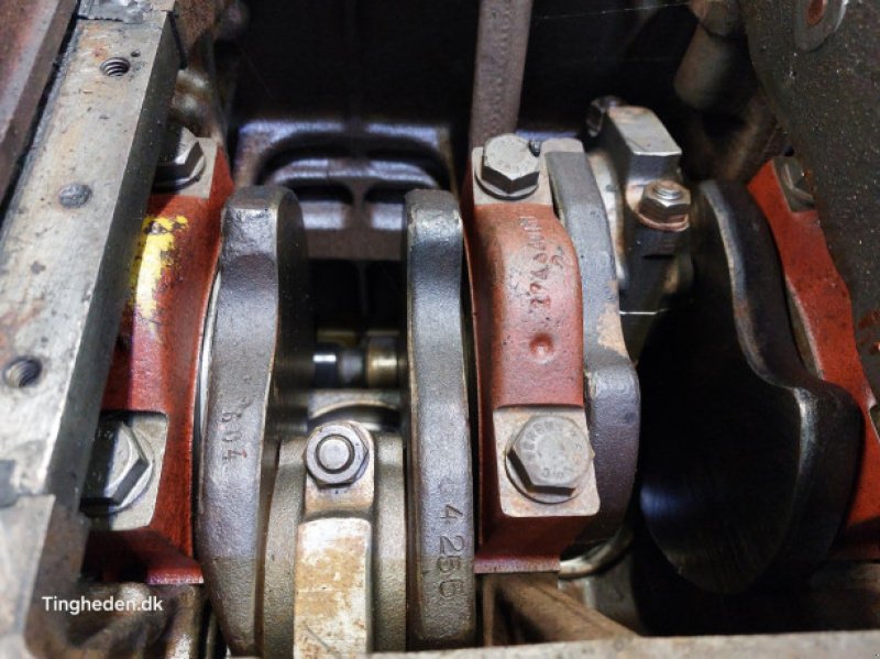 Motor & Motorteile des Typs Case D268, Gebrauchtmaschine in Hemmet (Bild 13)