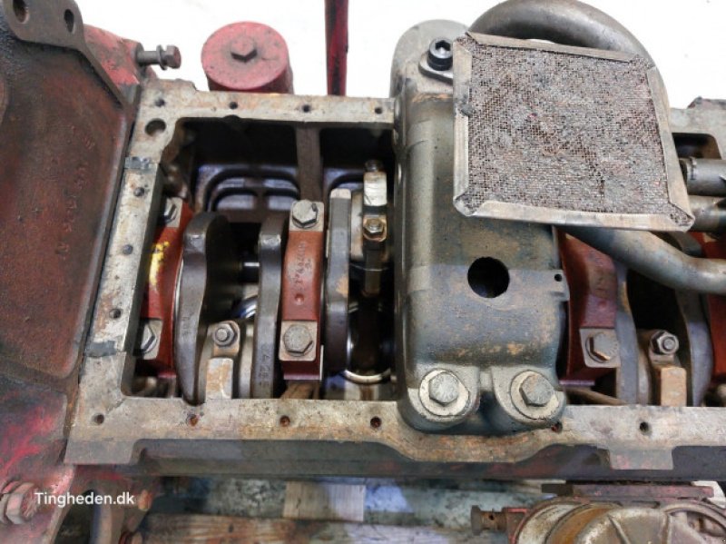 Motor & Motorteile des Typs Case D268, Gebrauchtmaschine in Hemmet (Bild 12)