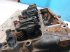 Motor & Motorteile типа Case F4CE9487N*J603, Gebrauchtmaschine в Hemmet (Фотография 19)