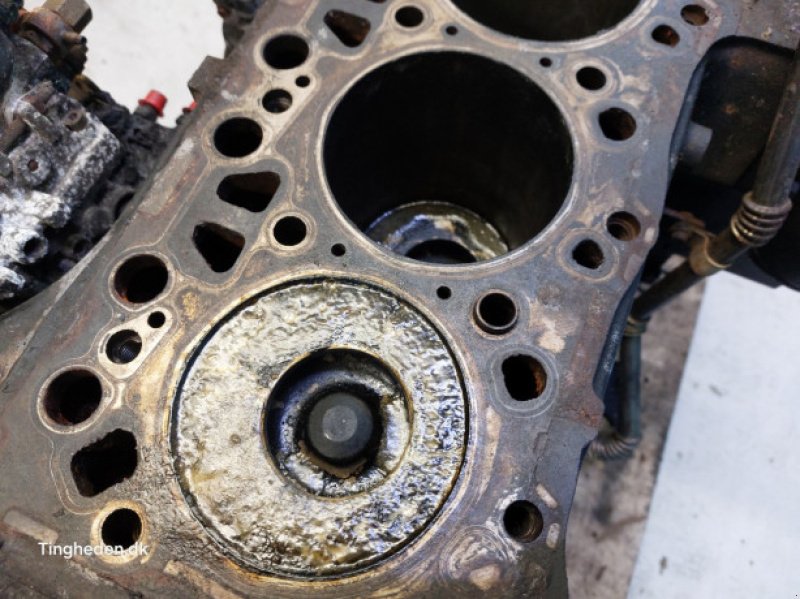 Motor & Motorteile des Typs Case F4CE9487N*J603, Gebrauchtmaschine in Hemmet (Bild 11)