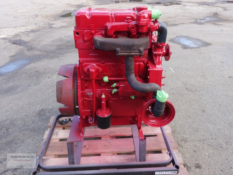 Motor & Motorteile des Typs IHC 633, Gebrauchtmaschine in Tapfheim (Bild 1)