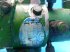 Motor & Motorteile типа John Deere 3040, Gebrauchtmaschine в Hemmet (Фотография 3)