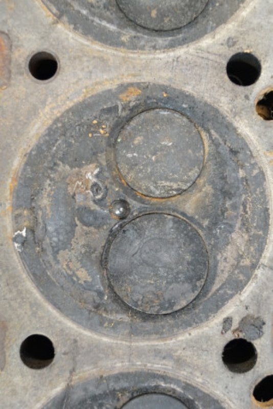 Motor & Motorteile des Typs John Deere 4239, Gebrauchtmaschine in Hemmet (Bild 19)