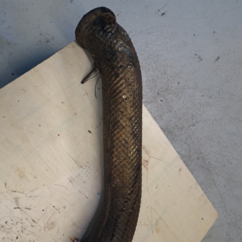 Motor & Motorteile типа Valtra T213, Gebrauchtmaschine в Hemmet (Фотография 18)