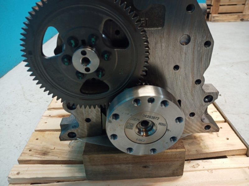 Motor und Motorteile типа Iveco F4GE0684H D650, Gebrauchtmaschine в Hemmet (Фотография 13)