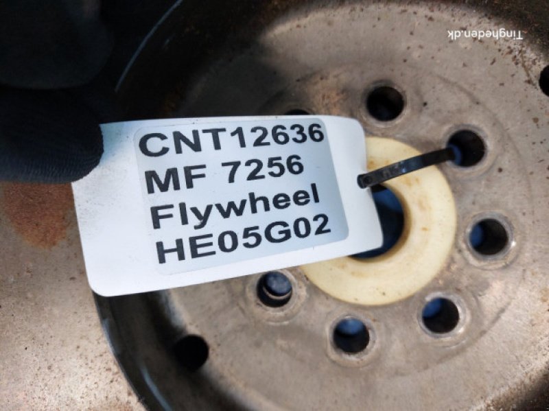 Motor und Motorteile типа Massey Ferguson 7256, Gebrauchtmaschine в Hemmet (Фотография 13)