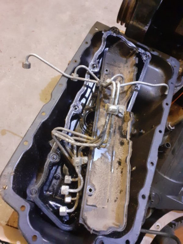 Motor of the type Perkins 1104C-44T, gebraucht in Hemmet (Picture 18)