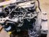 Motor des Typs Sonstige QSB 6.7, gebraucht in Hemmet (Bild 15)