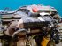 Motor des Typs Sonstige QSB 6.7, gebraucht in Hemmet (Bild 18)