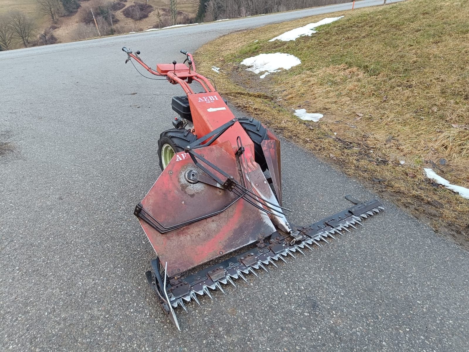 Motormäher от тип Aebi AM 41 Eingrasmaeher, Gebrauchtmaschine в Kirchdorf (Снимка 5)