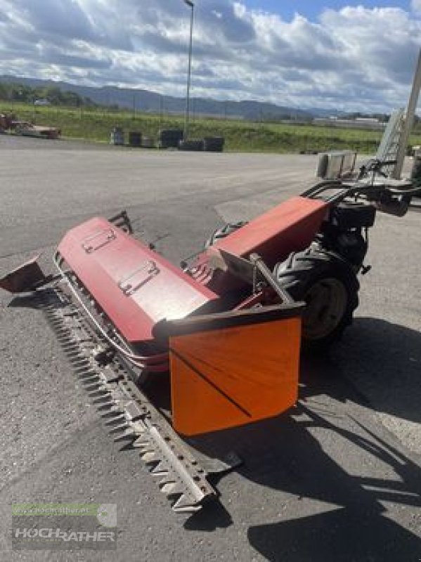 Motormäher Türe ait Aebi AM 41 Eingrasmaeher, Gebrauchtmaschine içinde Kronstorf (resim 2)