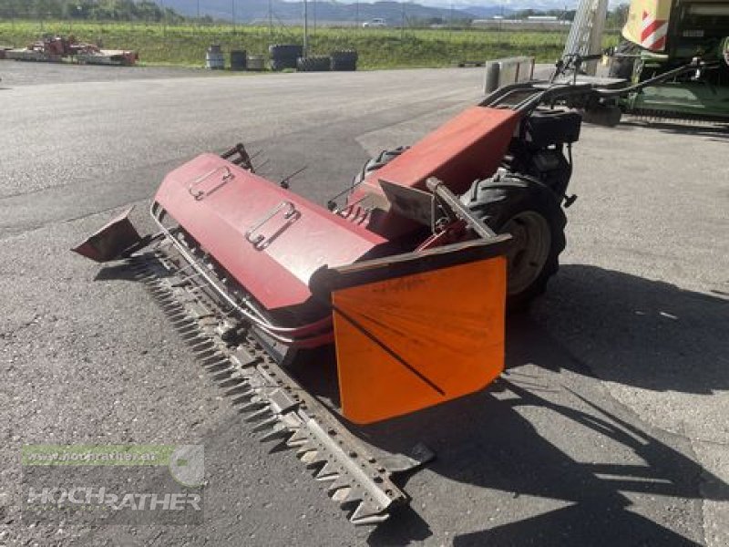 Motormäher Türe ait Aebi AM 41 Eingrasmaeher, Gebrauchtmaschine içinde Kronstorf (resim 1)