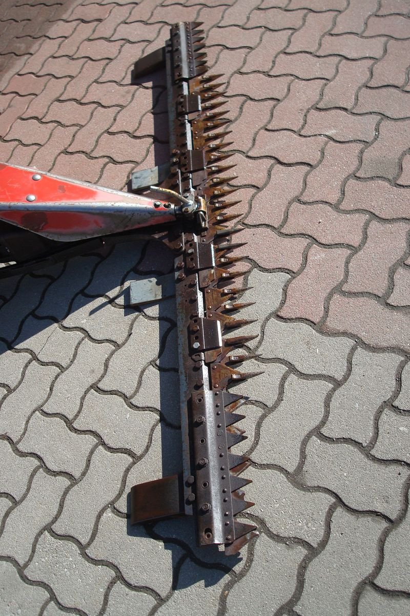 Motormäher typu Aebi AM 41, Gebrauchtmaschine v Judenburg (Obrázek 5)