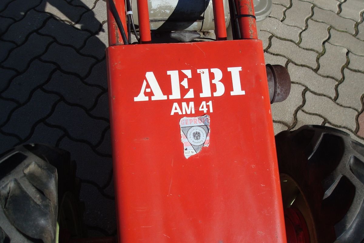 Motormäher typu Aebi AM 41, Gebrauchtmaschine w Judenburg (Zdjęcie 2)