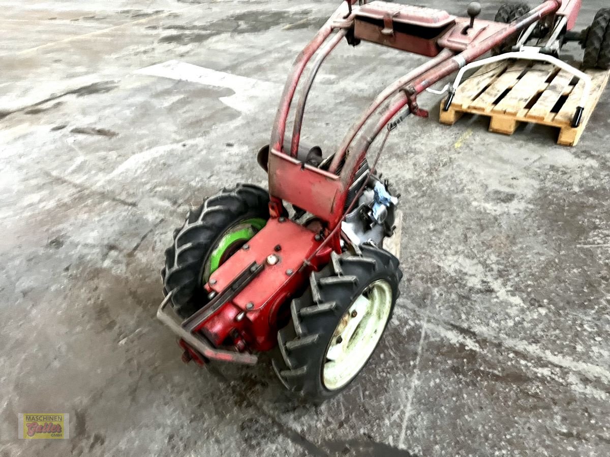 Motormäher typu Aebi AM 52, Gebrauchtmaschine v Kötschach (Obrázek 1)