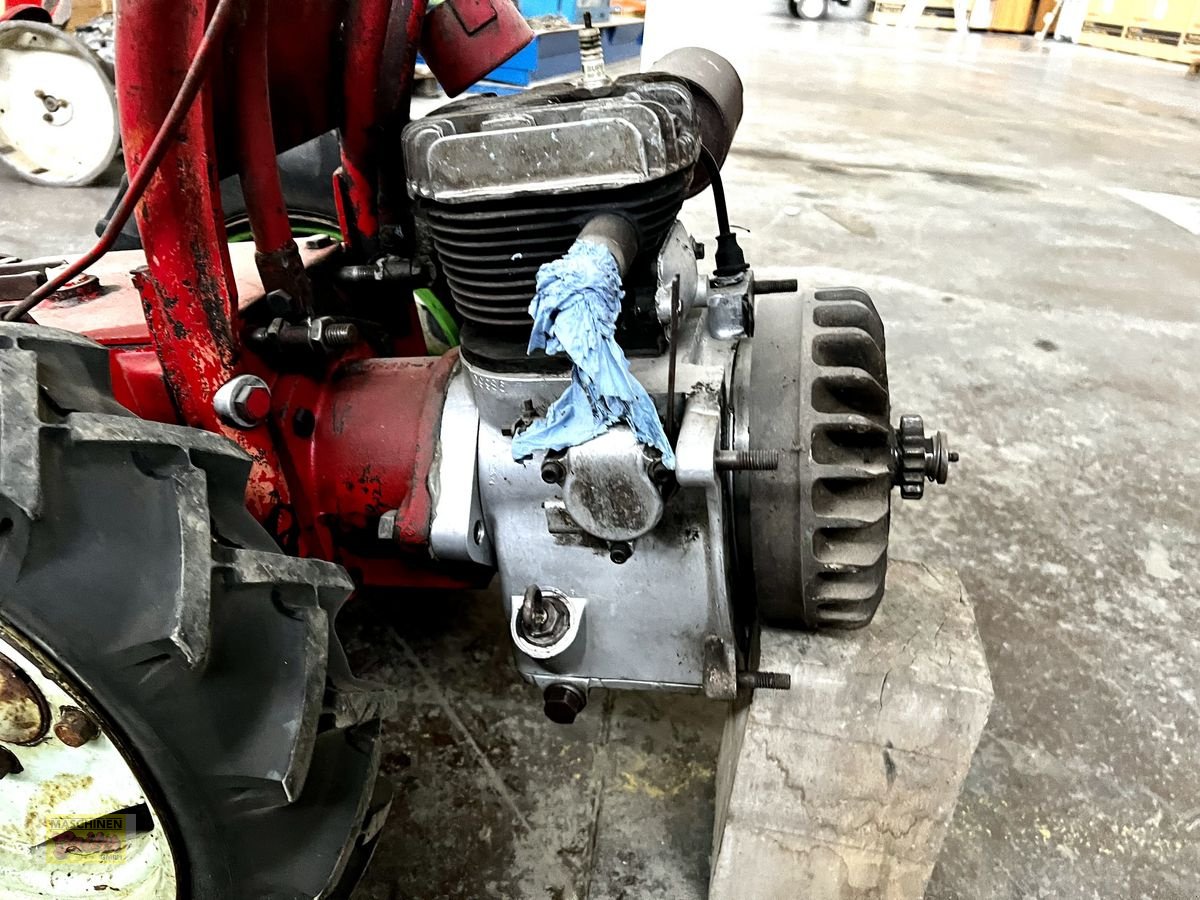 Motormäher typu Aebi AM 52, Gebrauchtmaschine v Kötschach (Obrázek 9)