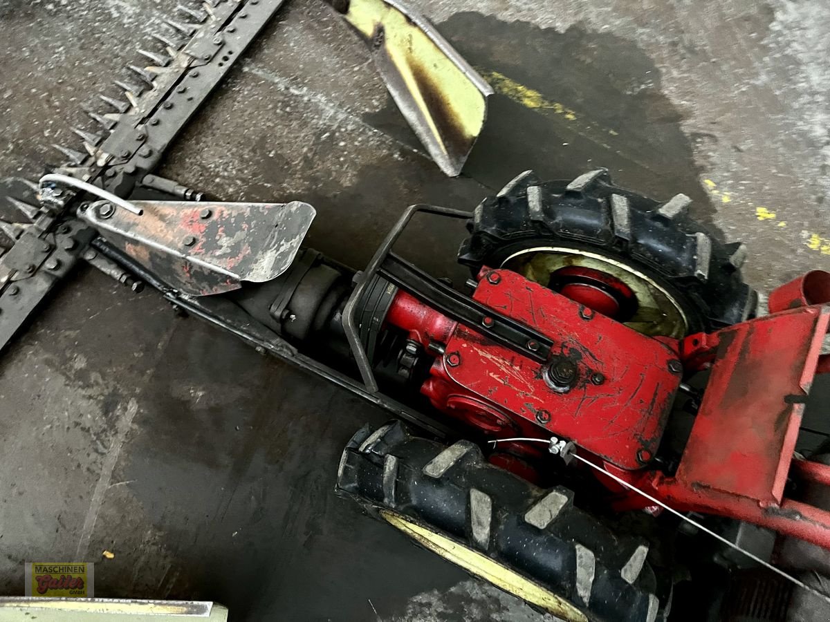 Motormäher des Typs Aebi AM 52, Gebrauchtmaschine in Kötschach (Bild 5)