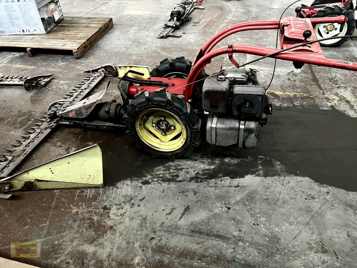 Motormäher des Typs Aebi AM 52, Gebrauchtmaschine in Kötschach (Bild 2)