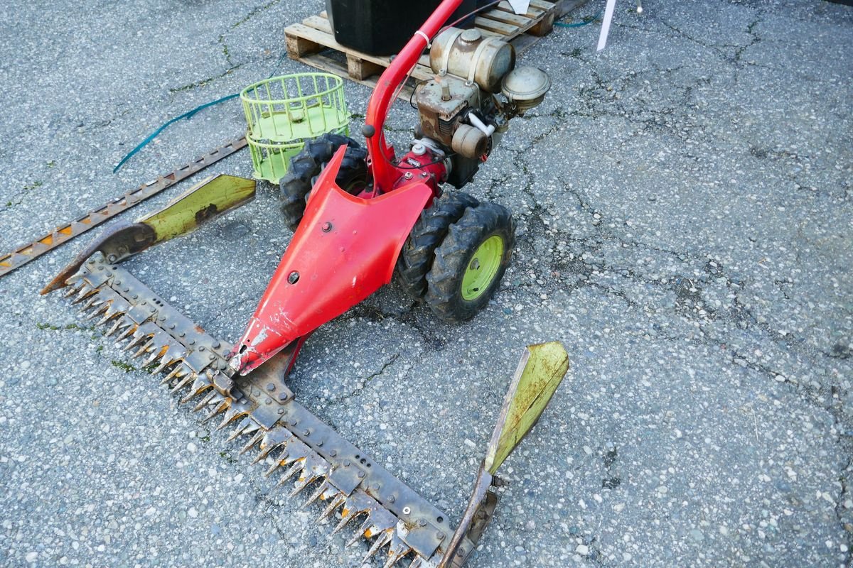 Motormäher des Typs Aebi AM 7, Gebrauchtmaschine in Villach (Bild 1)