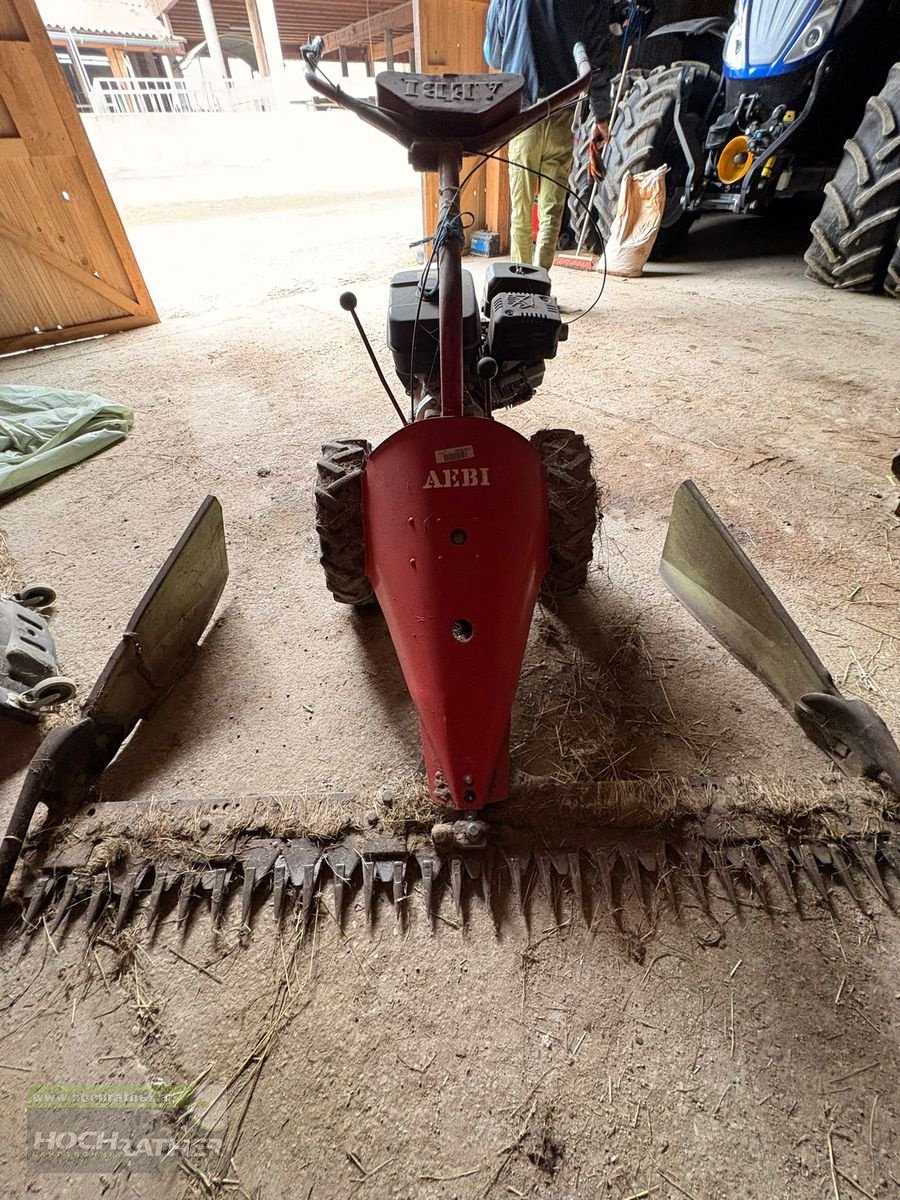 Motormäher Türe ait Aebi AM 8, Gebrauchtmaschine içinde Kronstorf (resim 1)