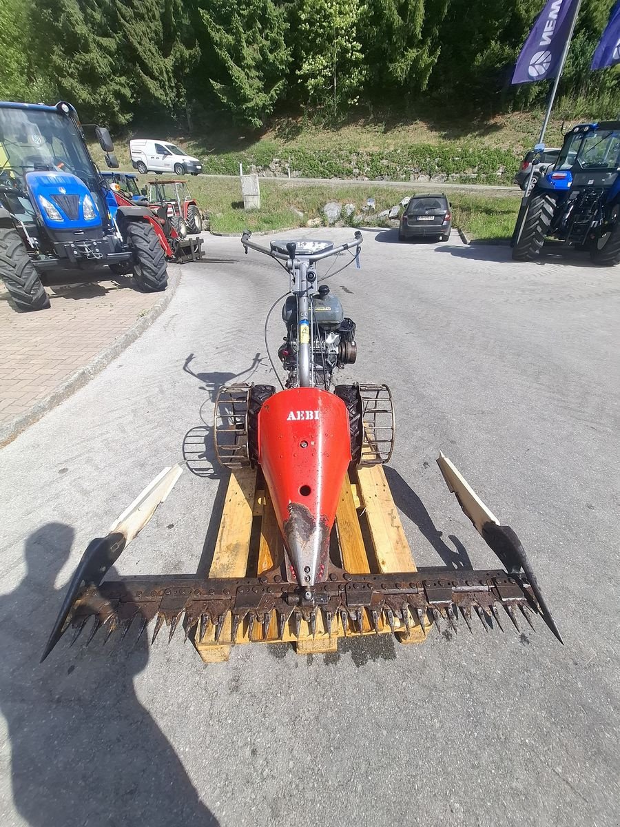 Motormäher a típus Aebi AM 9, Gebrauchtmaschine ekkor: Burgkirchen (Kép 2)