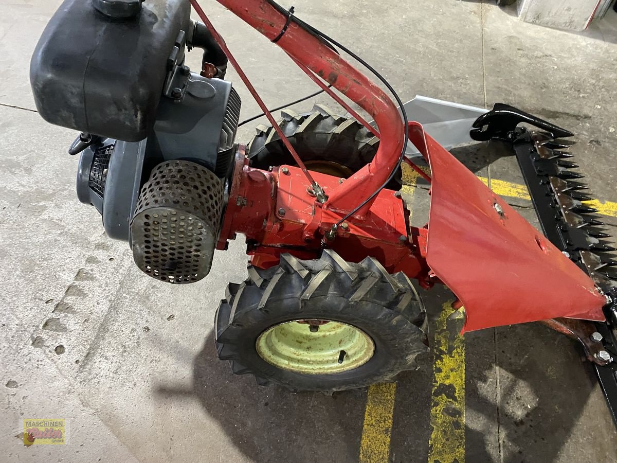 Motormäher от тип Aebi AM 9, Gebrauchtmaschine в Kötschach (Снимка 8)