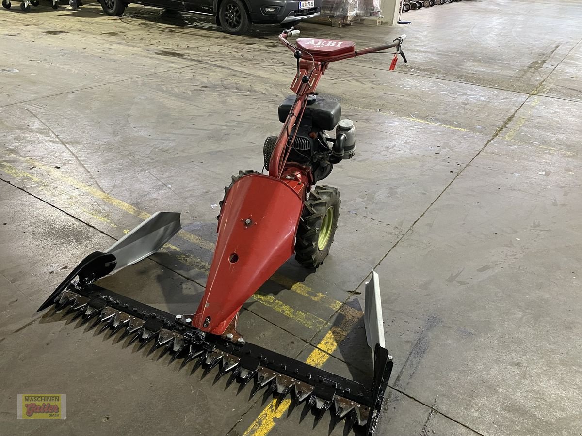 Motormäher от тип Aebi AM 9, Gebrauchtmaschine в Kötschach (Снимка 11)