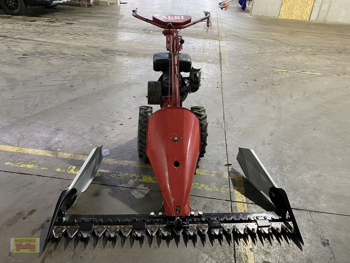 Motormäher от тип Aebi AM 9, Gebrauchtmaschine в Kötschach (Снимка 9)