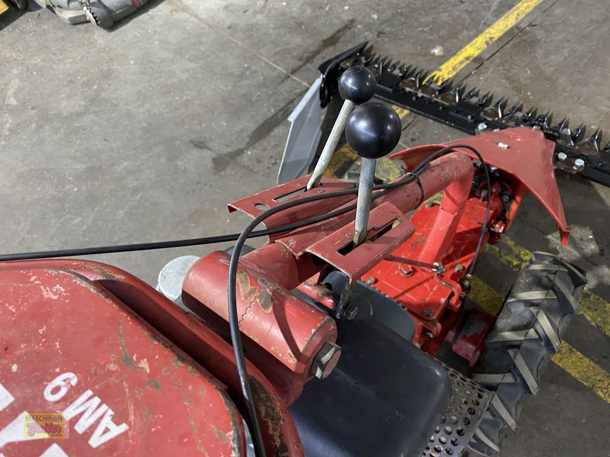Motormäher от тип Aebi AM 9, Gebrauchtmaschine в Kötschach (Снимка 7)