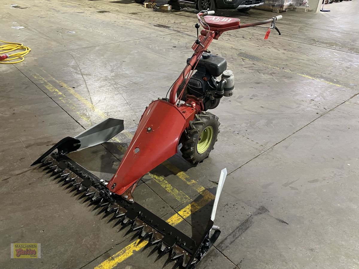 Motormäher от тип Aebi AM 9, Gebrauchtmaschine в Kötschach (Снимка 2)