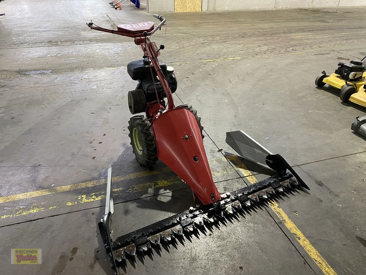 Motormäher от тип Aebi AM 9, Gebrauchtmaschine в Kötschach (Снимка 10)