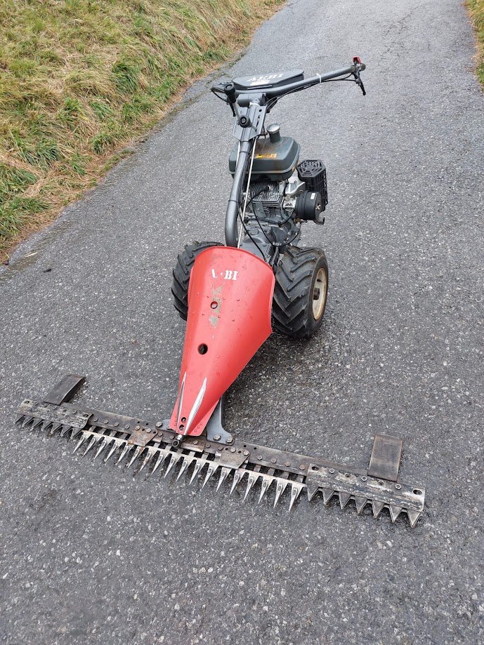 Motormäher des Typs Aebi AM 9, Gebrauchtmaschine in Schmirn (Bild 1)