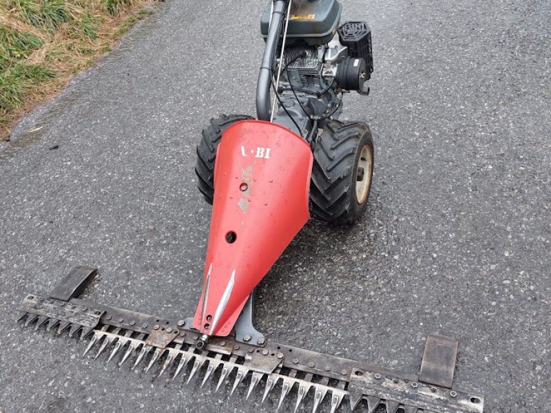 Motormäher del tipo Aebi AM 9, Gebrauchtmaschine In Schmirn (Immagine 1)