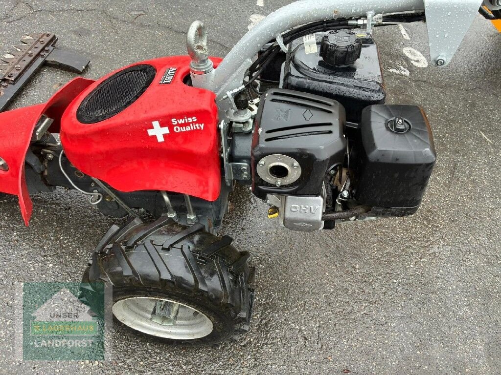Motormäher del tipo Aebi CC 110, Gebrauchtmaschine en Murau (Imagen 3)