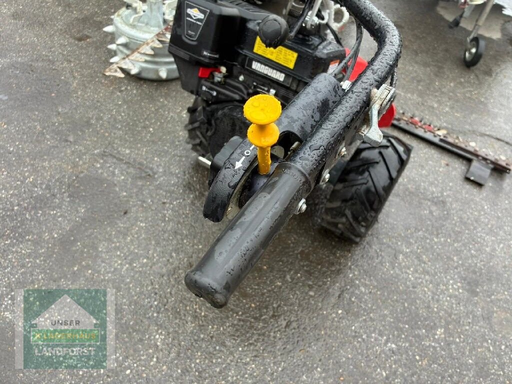 Motormäher del tipo Aebi CC 110, Gebrauchtmaschine en Murau (Imagen 5)
