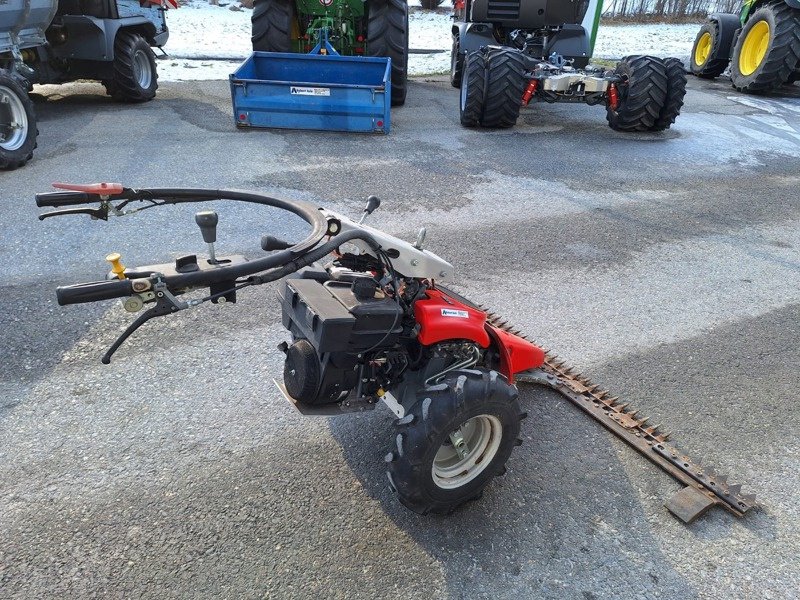 Motormäher des Typs Aebi CC 36, Gebrauchtmaschine in Susten (Bild 5)