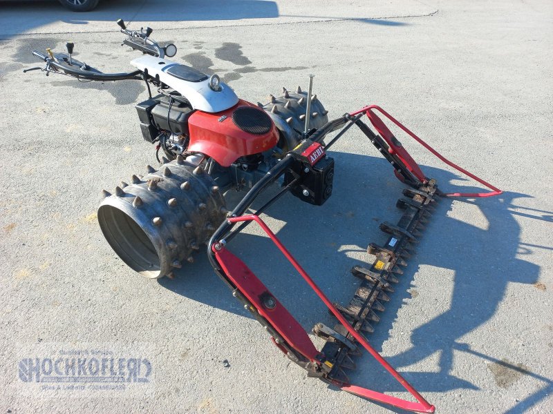 Buy Aebi Power mower second-hand and new
