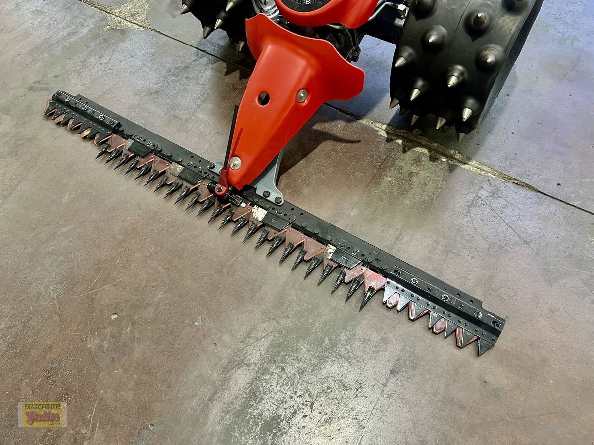 Motormäher des Typs Aebi CC36 14PS mit LS-GRIP Stachelwalzen, Neumaschine in Kötschach (Bild 12)